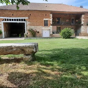 L'orée Des Bois Lièrre Nègrepelisse